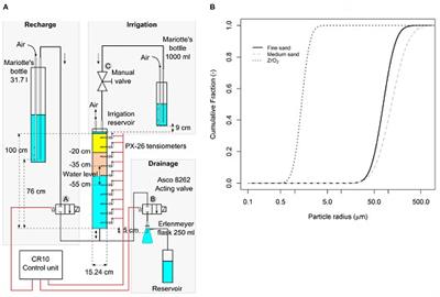 A Computational Method for Modeling Spatiotemporal Variability of Hydrodynamic Properties in Sandy Soil Under Drainage and Recharge